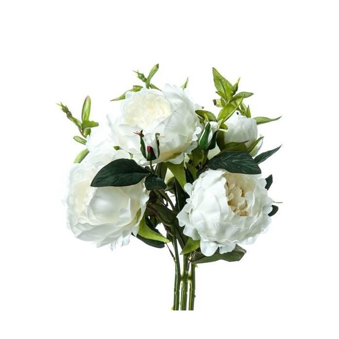 BUNCH PEONIA WHITE